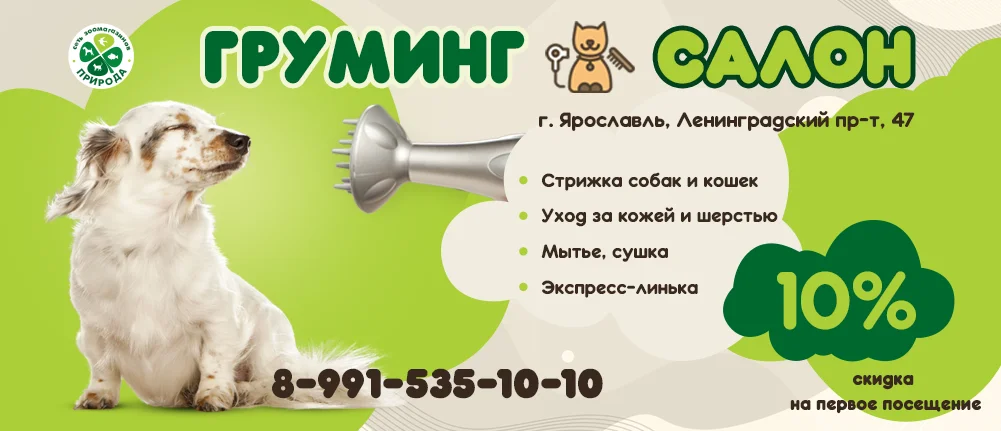 Груминг салон в Ярославле