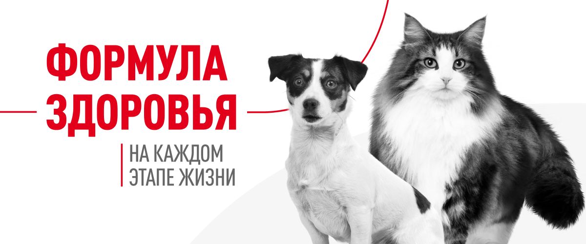 Роял Канин купить в Ярославле